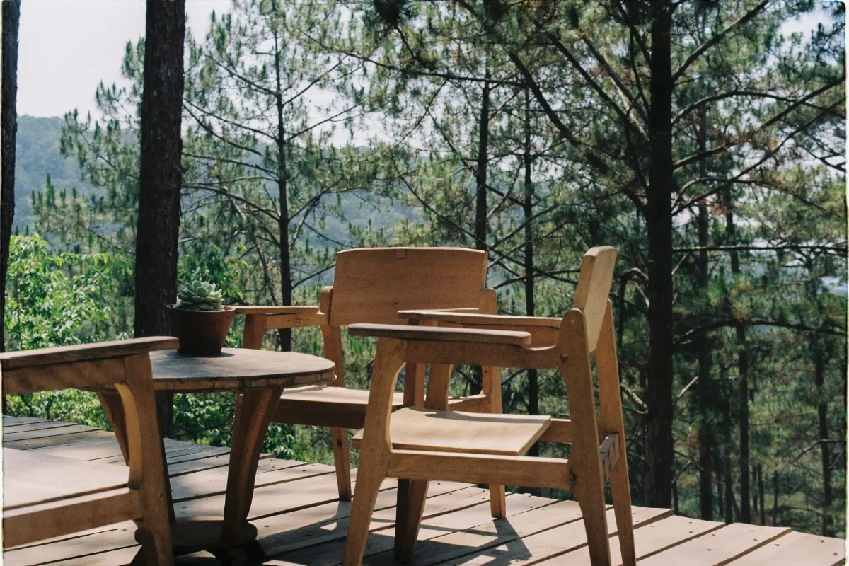 Terrasse en bois à Levens : terrasse en bois au milieu des pins